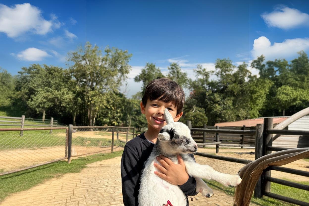 Programação temática em hotel fazenda com crianças